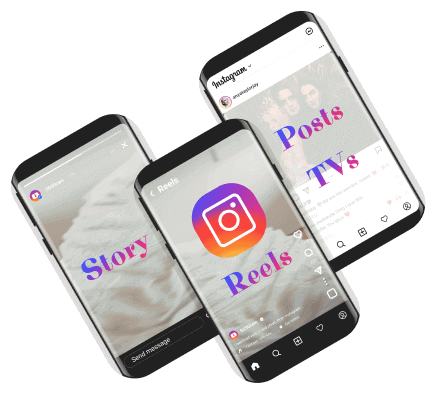Instagram Video Downloader SSSGram