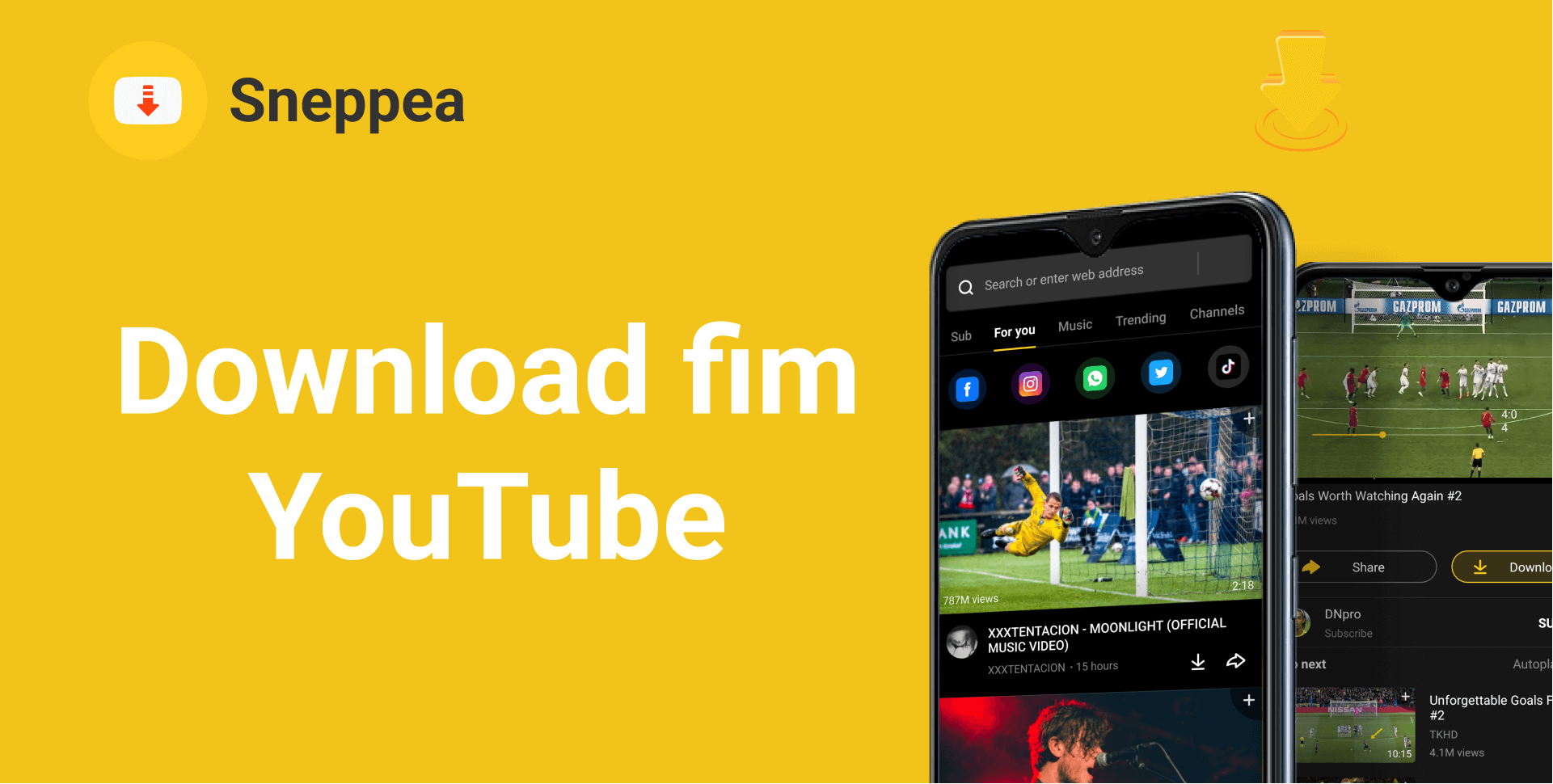 download fim youtube