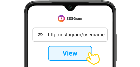 view instagram stories