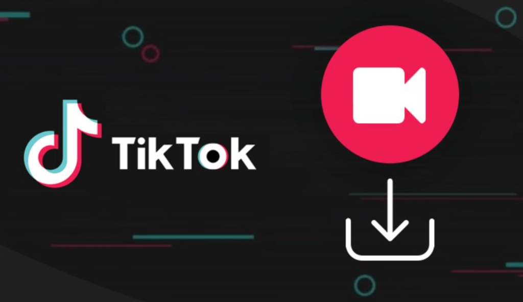 SSS TikTok Video Downloader