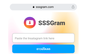 เครื่องมือดาวน์โหลด Instagram