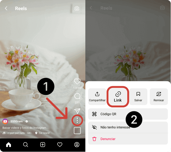 Baixar Reels do Instagram