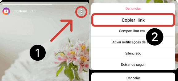 baixar stories do instagram
