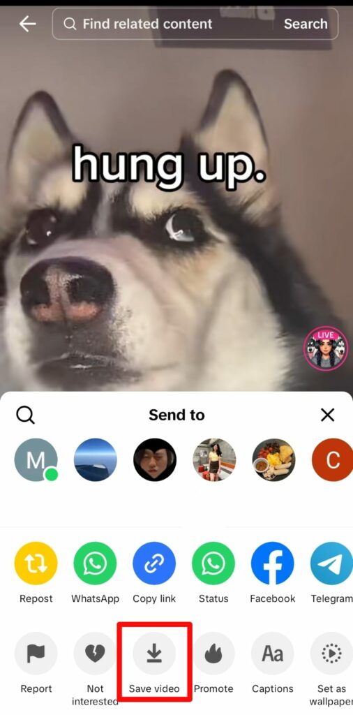 Download Video From TikTok